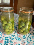 umeshu,shōchū,vodka