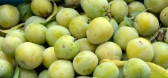 prunes, reines-claudes, sucre roux, vanille citron, bio